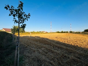 Teren intravilan 10 000 MP - imagine 3