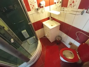 Cazare Herculane la Casa Gică - imagine 4