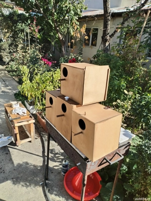 Cuiburi toate dimensiunile  - imagine 2