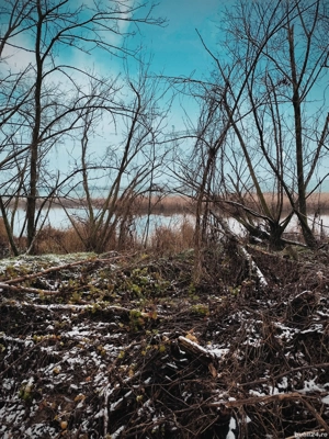 Teren intravilan de vanzare comuna Luica - imagine 3