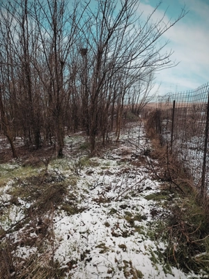 Teren intravilan de vanzare comuna Luica - imagine 4