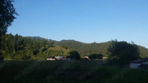 Vand casa,Corbu,Harghita la 14km de Borsec - imagine 6