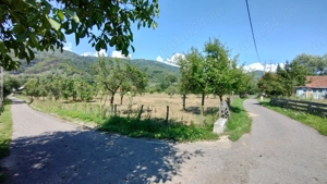 Teren intravilan in Bucova