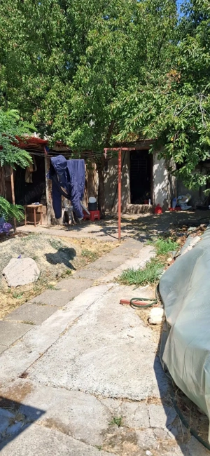 Casă de vanzare Murfatlar  - imagine 3