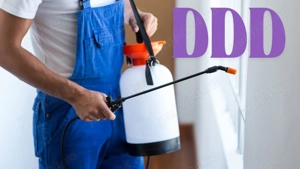 Angajăm Coordonator Activități   Firma DDD (Deratizare, Dezinsecție, Dezinfectie)