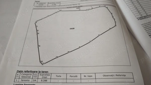 Teren intravilan in Bucova - imagine 8