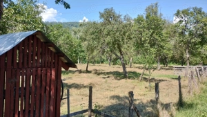 Teren intravilan in Bucova - imagine 2