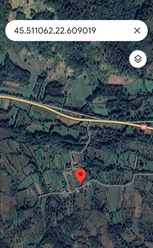 Teren intravilan in Bucova - imagine 7