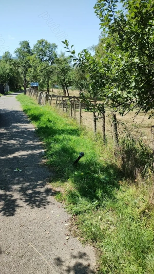 Teren intravilan in Bucova - imagine 6