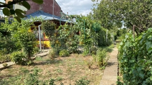 Voluntari - casă la curte cu teren generos de 861 mp - imagine 4