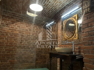 Apartament cu 3 camere demisol+ parter, Ultracentral - imagine 11