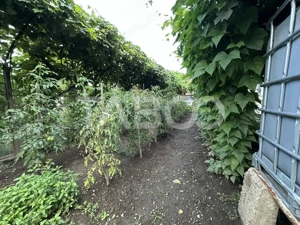 Casa individuala cu teren de 505 mp in zona Kaufland Strand - imagine 6