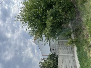 Casa 4 camere, Jamu Mare, Timis - imagine 2