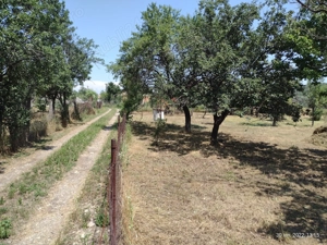 Vând teren intravilan in Cernatesti, sat Aldeni. - imagine 7