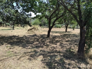 Vând teren intravilan in Cernatesti, sat Aldeni. - imagine 8