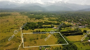 Teren intravilan de vanzare in Avrig zona Valea Avrigului - imagine 3