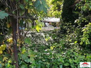 Casa cu spatii comerciale si locuinta zona centrala - imagine 6