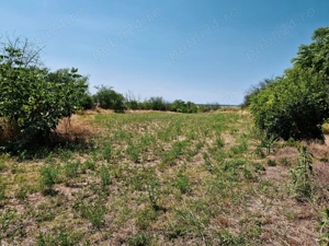 Vanzare casa cu teren de 3.018mp in Cioranii de Jos - Prahova - imagine 5