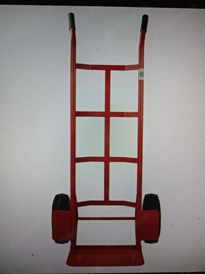 Liza  noua , duce 200 kg