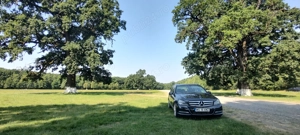 Mercedes Benz C klass 2013 luna 12 - imagine 5