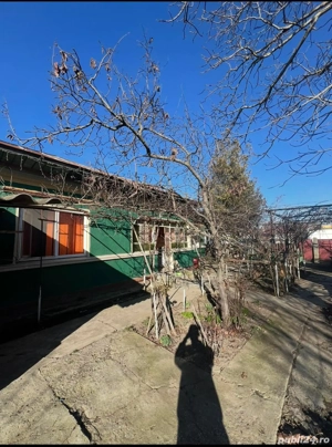 vand casa 3 camere snagov 70 metri teren 325 la 99000 euro - imagine 5 vand casa 3 camere snagov 70 metri teren 325 la 99000 euro - imagine 5