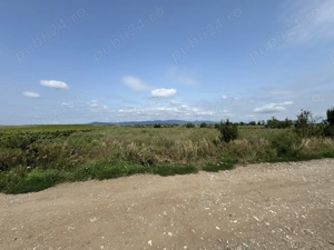 Parcele de 500 mp de vânzare în Hălchiu   Zonă în plină dezvoltare! - imagine 5  Parcele de 500 mp de vânzare în Hălchiu   Zonă în plină dezvoltare! - imagine 5