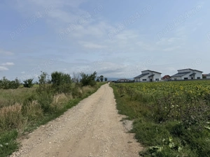 Parcele de 500 mp de vânzare în Hălchiu   Zonă în plină dezvoltare! - imagine 6  Parcele de 500 mp de vânzare în Hălchiu   Zonă în plină dezvoltare! - imagine 6