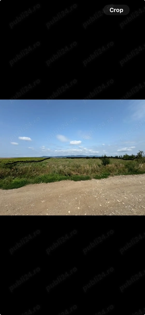 Parcele de 500 mp de vânzare în Hălchiu   Zonă în plină dezvoltare! - imagine 3  Parcele de 500 mp de vânzare în Hălchiu   Zonă în plină dezvoltare! - imagine 3