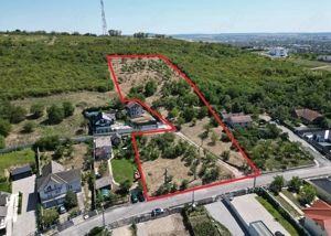 1.4 HA Teren intravilan - Str. Sofiei - NYMPHAEA - IMOBIHOR