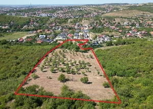 1.4 HA Teren intravilan - Str. Sofiei - NYMPHAEA - IMOBIHOR - imagine 3