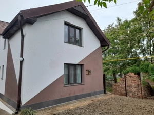 Vand casa Peciu Nou - imagine 2