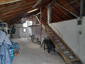 Vand casa Peciu Nou - imagine 9