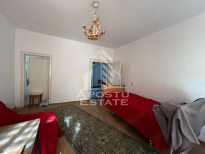 Casa individuala  7 camere, 3 bai, garaj, teren 1129 mp, zona Iosefin - imagine 5