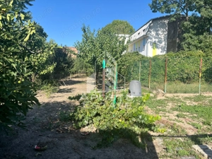 Casa individuala  7 camere, 3 bai, garaj, teren 1129 mp, zona Iosefin - imagine 2