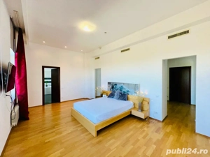 Aleea Privighetorilor- Penthouse 833 mp utili mobilat complet 3600 Euro + TVA - imagine 8