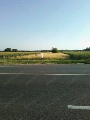 Vând teren extravilan