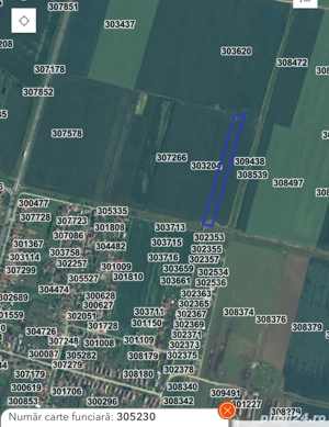 Teren 1 Ha Zimandcuz - imagine 2