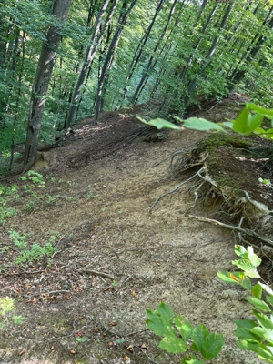 Vand teren cu padure in Vrancea comuna Racoasa. - imagine 4