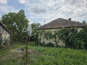 Vand casa in Tinca (sau schimb cu garsoniera oradea) 2 camere, pe treren de 1000 metri patrati