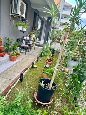 Acasă în liniște   Apartament 2 camere,cu grădină de flori,Braytim-Giroc