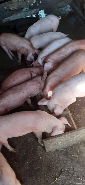 De vânzare  - imagine 5