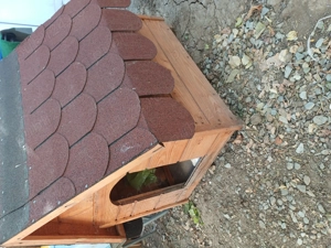 Casuta noua  catel - imagine 3