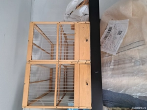 Colivii lemn de tei, Caisan - imagine 2