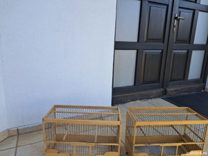 Colivii lemn de tei, Caisan - imagine 6