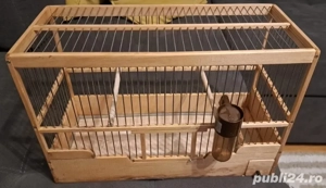 Colivii lemn de tei, Caisan