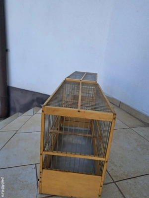 Colivii lemn de tei, Caisan - imagine 3