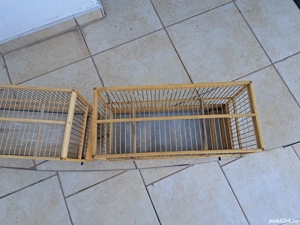 Colivii lemn de tei, Caisan - imagine 4