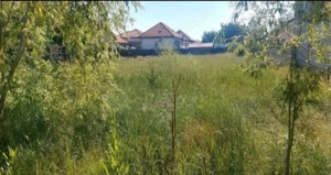 Vand teren intravilan in comuna Sacalaz  suprafata 913mp front 25m cu toate utilitatile