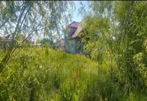 Vand teren intravilan in comuna Sacalaz  suprafata 913mp front 25m cu toate utilitatile - imagine 3