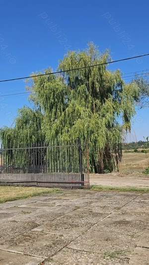 Muncitor la intretinere gospodarie anexa (animale)